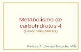 Metabolismo de carbohidratos 4 (Gluconeogénesis) · concentración de F 2,6-diP Glucólisis, gluconeogénesis. Regulación glucólisis ... Metabolismo de carbohidratos 4 (Gluconeogénesis)