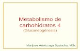 Metabolismo de carbohidratos 4 (Gluconeogénesis) · Metabolismo de carbohidratos 4 (Gluconeogénesis) Marijose Artolozaga Sustacha, MSc . ... concentración de F 2,6-diP Glucólisis,