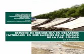 ESTUDIO DE RESILIENCIA EN DESASTRES … · E l documento presenta los resultados del estudio de caso conducido por el grupo de investigacion del SP1 Bolivia del TPP2 Obrist “Vulnerability