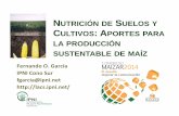 NUTRICIÓN DE UELOS Y CULTIVOS: APORTES …lacs.ipni.net/ipniweb/region/lacs.nsf/0...Los 4 Requisitos del Manejo Responsable de Nutrientes ... glomalina del suelo y respiración microbiana