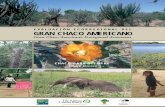 EVALUACIÓN ECORREGIONAL DEL GRAN …“N ECORREGIONAL DEL GRAN CHACO AMERICANO ... Evaluación Ecorregional del Gran Chaco Americano / Gran ... de la agricultura a gran escala, la