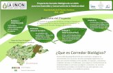 Departamento de El Paraíso, Honduras 2016 - 2020Bachan/Granadilla/Cidra, Chagüite Grande y Lavanderos) de los Municipios de Yuscarán, Oropolí y Güinope. El Proyecto prueba varias