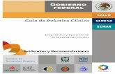 Guía de Práctica Clínica - CVSP Nodo CUCS UdeGcvsp.cucs.udg.mx/guias/TODAS/IMSS_082_08_MIOMATOSIS...4 Diagnóstico y Tratamiento de Miomatosis Uterina Índice 1. Clasificación