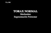 Mediastino Segmentación Pulmonar - blog de la cátedra de ... · TORAX NORMAL Mediastino ... clínica tiene un correlato práctico directo con las alteraciones de cada una de las