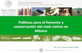 Políticas para el fomento y conservación del maíz nativo ... · Plan de Acción Mundial ... Agrícola Acuático Microbiano Pecuario Forestal 2010 Componente Recursos ... •Manejo