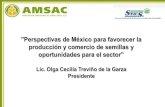 Perspectivas de México para favorecer la producción y ...snics.sagarpa.gob.mx/Documents/Seminario_SNICS2011/6_AMSAC.pdf · Con una afiliación voluntaria, representamos al 80% de