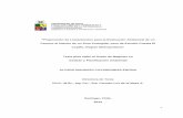 “Proposición de Lineamientos para la Evaluación …mgpa.forestaluchile.cl/Tesis/Covarrubias Alvaro.pdfDirectora de Tesis: Sra. Carmen Luz de la Maza ----- Comisión de Evaluación