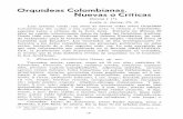 Orquideas Colombianas, Nuevas Criticas - THE GLOBAL … cinnabarinus/Lit... · recio en la coieccion del Sr ... disco basin 5 costato, breviter carinato, antice callo V-formi ...