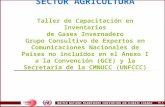 [PPT]PowerPoint Presentation - UNFCCCunfccc.int/resource/cd_roms/na1/ghg_inventories/spanish/... · Web viewTaller de Capacitación en Inventarios de Gases Invernadero Grupo Consultivo