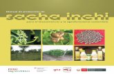 para el biocomercio y la agroforestería sostenible MANUAL DE PRODUCCIÓN DE SACHA INCHI PARA EL BIOCOMERCIO Y LA AGROFORESTERÍA SOSTENIBLE Proyecto Perúbiodiverso – PBD: Deutsche