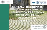 Autora: ANA ISABEL ABELLÁN GARCÍA Director: DR. …lluvia.dihma.upv.es/ES/publi/tfm_pfc_docs/TFM_AABELLAN.pdf · Ejemplo de educación ciudadana en calles de ... (IDF) para Barcelona