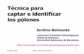 Técnica para captar e identificar los póleneslap.uab.cat/aerobiologia/general/pdf/altres/Tecnica_captar... · Zaragoza 2003 Captar e identificar pólenes 2 Métodos de captación
