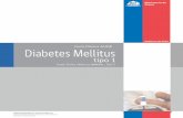 GPC Diabetes Mellitus tipo 1 - minsal.cl · Fecha de actualización: Mayo 2013 . 3 GPC Diabetes Mellitus tipo 1, 201 3 ... 8.1 Cetoacidosis diabética, ...