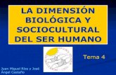 LA DIMENSIÓN BIOLÓGICA Y SOCIOCULTURAL … DEL SER HUMANO Tema 4 2 Procesos de adaptación orgánica Procesos de adaptación psicosocial EVOLUCIÓN BIOLÓGICA Proceso de HOMINIZACIÓN