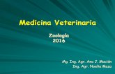 Medicina Veterinaria - ecaths1.s3.amazonaws.comecaths1.s3.amazonaws.com/zoologiaveterinariaunt/340792606... · Cuadro sintético . Phylum Acanthocephala. Phylum Acanthocephala ...