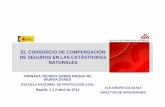 EL CONSORCIO DE COMPENSACIÓN DE SEGUROS EN …€¦ ·  · 2014-04-03(a través de coaseguro y de reaseguro). ... por el CCS (aplicación web de comunicación entre los peritos