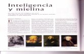 Inteligencia y mielina - Filosofía y ciudadanía 1º de … ·  · 2008-03-09Inteligencia y mielina ... memoria a corto plazo y desde allí recu- ... metidos al ensayo.