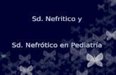 Sd. Nefritico y Sd. Nefrótico en Pediatría€¦ · PPT file · Web view · 2011-01-02Nefritico y. Sd. Nefrótico en Pediatría. ... ya que en un alto porcentaje corresponde a