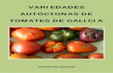 VARIEDADES AUTÓCTONAS DE TOMATES DE GALICIAciam.gal/pdf/tomates.pdf · tomate en relación co seu peso total, obtido sobre 30 tomates por variedade. Relación ºBrix/Acidez: Representa