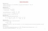 MATRICES - matematicasonline.esºBach Cienc... · 2 . Ejercicio nº 6.- Las matrices X e Y son las soluciones del sistema de ecuaciones matriciales: Ejercicio nº 7.- Ejercicio nº