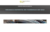 TÉCNICO EXPERTO EN TURBINAS DE GAS€¦ · tÉcnico experto en turbinas de gas renovetec programa formativo página tÉcnico experto en turbinas de gas