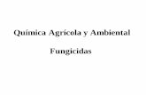 Química Agrícola y Ambiental - TINET - Tarragona ...usuaris.tinet.cat/csalomo/fungicidas2.pdf · Química Agrícola y Ambiental Fungicidas . Fungicidas Necesidades de uso Existen