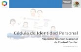 Cédula de Identidad Personal - Inicio 1933 1974 1990-1992 1997 2010-2011 REGISTRO DE IDENTIFICACIÓN COMO SERVICIO PÚBLICO NACIONAL La Ley de …