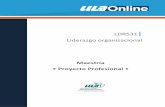 LDR531 Liderazgo organizacionalpracticasprofesionales.ula.edu.mx/documentos/MAESTRIAS/Ajuste... · LDR531|Liderazgo organizacional 2 Proyecto Profesional: PLAN ESTRATÉGICO DE APOYO