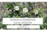 Botánica Ambiental curso 2015/16¡nica... · Módulo I: Ecosistemas vegetales y medio natural. Bioclimatología. Biogeografía. Geobotánica. • Tema 1. Ecosistemas. • Tema 2: