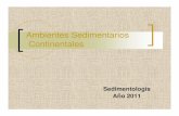 Ambientes Sedimentarios Continentalescuencas.fcien.edu.uy/cursos/materiales/Ambientes Continentales... · Nº finito de ambientes 2 similares nunca son idénticos Límites no netos