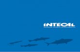 INTECAL fue fundada el año 1983, tres años antes de la entrada · Para pescado fresco • Diseñados para compensar el peso de las herramientas de trabajo • Mejoran la precisión,
