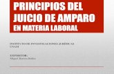 PRINCIPIOS DEL JUICIO DE AMPARO - juslab.comjuslab.com/general/docs/Principios del Juicio de Amparo en Materia... · principios del juicio de amparo en materia laboral instituto de