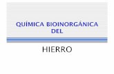 HIERRO - dcne.ugto.mx · por sustituyentes en las posiciones 2 y 4 hemo d 2=4 vinilo hemo b ... cubo 2 . fe3+ fe+ 1e 2+-•bajo espÍn •acoplamientos antiferromagnÉticos