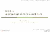 Tema V. La estructura cultural o simbólica - ocw.uv.esocw.uv.es/.../plantilla/temario/estructura_v._estructura_cultural.pdf · Estructura cultural: instituciones, grupos y relaciones