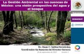 La Gestión Ambiental en las cuencas de México: una visión prospectiva del agua y el ... ·  · 2010-10-18... una visión prospectiva del agua y el bosque. ... en cuenca alta del
