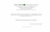 TG Satisfacción de los Clientes y Usuarios con el servicio obiblioteca2.ucab.edu.ve/anexos/biblioteca/marc/texto/AAS3832.pdf · Presentado como requisito parcial para optar al título
