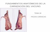 FUNDAMENTOS ANATÓMICOS DE LA CARNIZACIÓN …coli.usal.es/web/demo_traza/despiece_vacuno/doc2/piezasCarnicas.pdf · Las canales se dividen , mediante un corte longitudinal, en dos,