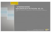 VMWARE WORKSTATION 6.0. - Curso de Técnico de … · Guía de instalación, ... cosoft Windows o Mac Os o gratuito cómo cualquiera de las distribuciones de Linux (Debian, Ubuntu,