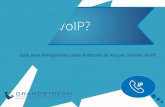 ¿Qué es VoIP? - IP Voice, Data, Video & Security · Guía para Principiantes sobre Protocolo de Voz por Internet ... IP PBXs y otros dispositivos que constituyan tu solución de