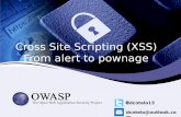 Cross Site Scripting (XSS) From alert to pownage - owasp.org · XSS Reflejado • El atacante genera un link que contiene el código malicioso • Se hace disponible ese link a la