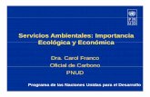 Servicios Ambientales: Importancia Ecológica y ...diccionariomedioambiente.org/.../pago_Servicios_Ambientales.pdf · respecto a un bien o servicio ambiental, en lugar de ... Microsoft