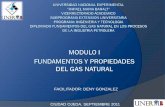 FACILITADOR: DENY GONZALEZ CIUDAD OJEDA, … · de forma combinada fundamentos del gas natural en los procesos de la industria petrolera gas natural. comportamiento y propiedades