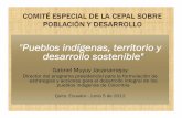 Pueblos indígenas, territorio y desarrollo sostenible Ecuador - Junio 5 de 2012. Los Pueblos Indigenas. ... humano 2009 - UMPA).