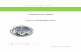 Glosario De Artes Plásticasbiblioteca.usac.edu.gt/EPS/07/07_3938.pdf · 2014-11-05 · (Políticas, Rediseño del organigrama General y descripción de la Estructura Organizativa