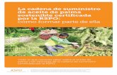 La cadena de suministro de aceite de palma sostenible ...aceitedepalmasostenible.es/wp-content/uploads/2017/08/RSPO... · de promover el cultivo y el uso de productos de la palma