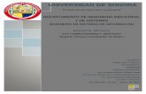 UNIVERSIDAD DE SONORA - Oficina Virtual de ISI (ISI-Web)cp.isi.uson.mx/practicas_docs/206200693-reporte.pdf · 2013-08-14 · Alcances y limitaciones en la solución de problemas