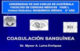 COAGULACIÓN SANGUÍNEA - Dr. Mynor Leiva · universidad de san carlos de guatemala facultad de ciencias mÉdicas fase i, unidad didáctica: bioquÍmica mÉdica 2º aÑo coagulaciÓn