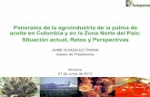Panorama de la agroindustria de la palma de aceite en ...web.fedepalma.org/bigdata/zonaprivada/panoramadelaagro...1 Panorama de la agroindustria de la palma de aceite en Colombia y