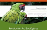 Fundación Pro Zoológicos - Sebastián Castro ...blog.sebastiancastro.com/tcu/libro_fundazoo.pdf · Importancia de los Zoológicos y Áreas de Conservación Los zoológicos o áreas