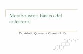 Metabolismo básico del colesterol - bioquiucimed · hidrolizados por la colesterol esterasa, del jugo pancreático. EC colesterol esterasa Colesterol libre + Acido graso ... metil-glutaril-CoA